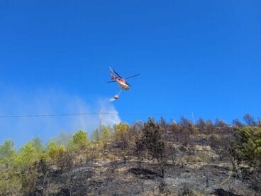 Zona forestal quemada en la zona del Montgó en Dénia