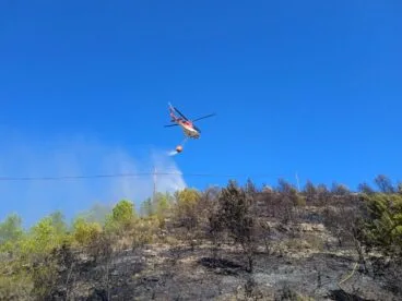Zona forestal quemada en la zona del Montgó en Dénia