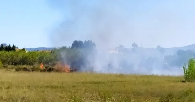 Imagen: Incendio en Les Marines de Dénia