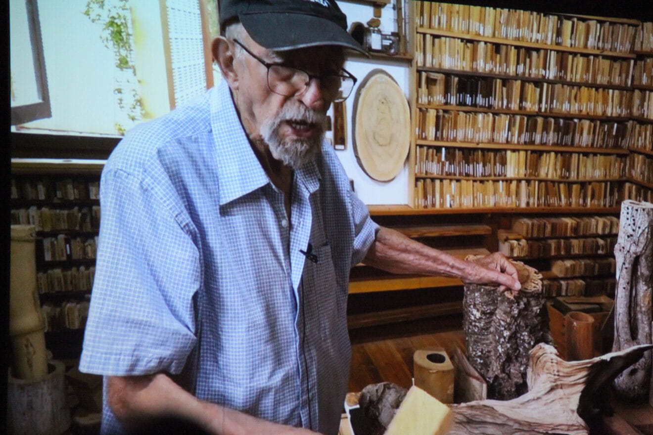 La xiloteca de Maneul Soler