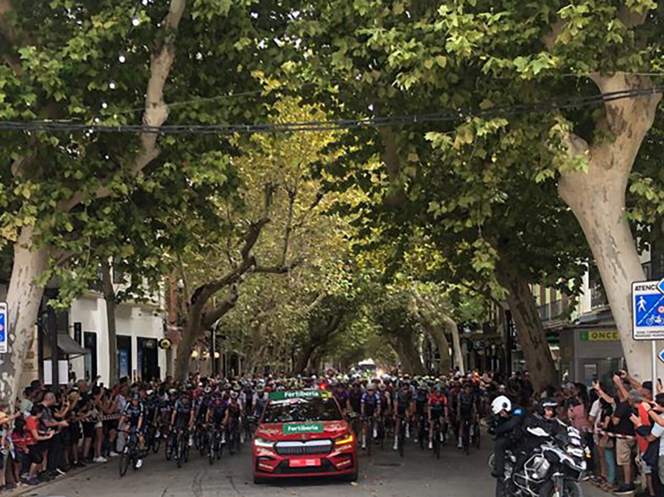 Ciclistas de La Vuelta en Marqués de Campo