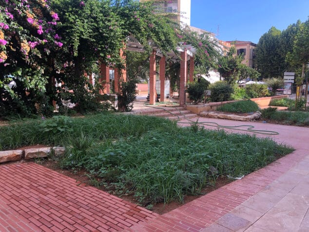 La nueva Glorieta de Dénia ya encara el esperado fin de sus obras 5 jardinera llena de hierbajos que cubren las flores plantadas