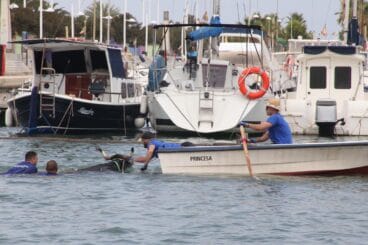 bou a l'aigua durant una celebració de bous a la mar a denia