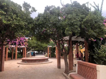 vecinos de denia disfrutando de la reapertura de la glorieta