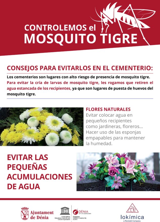 Imagen: Consejos para el control del mosquito tigre