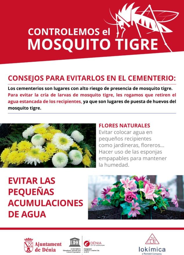 Dénia asegura trabajar en el control de plagas los 365 días al año 4 Imagen: Consejos para el control del mosquito tigre