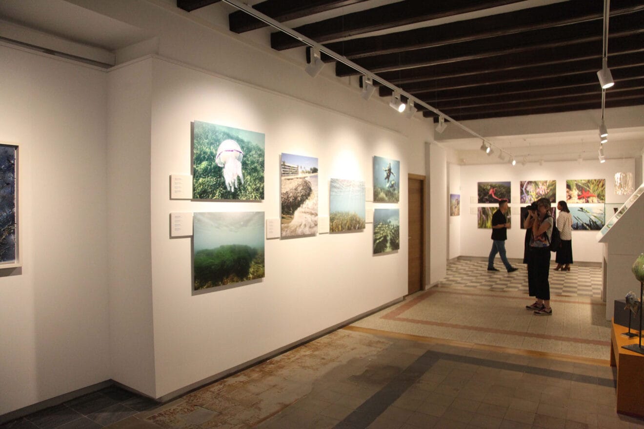 Exposición colectiva ‘L’art de la posidònia’ 09