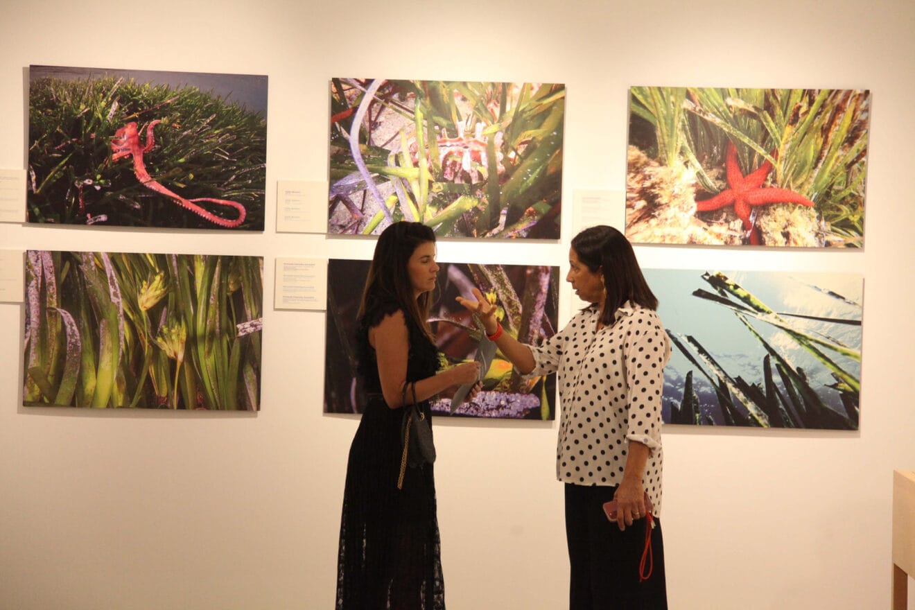 Exposición colectiva ‘L’art de la posidònia’ 11