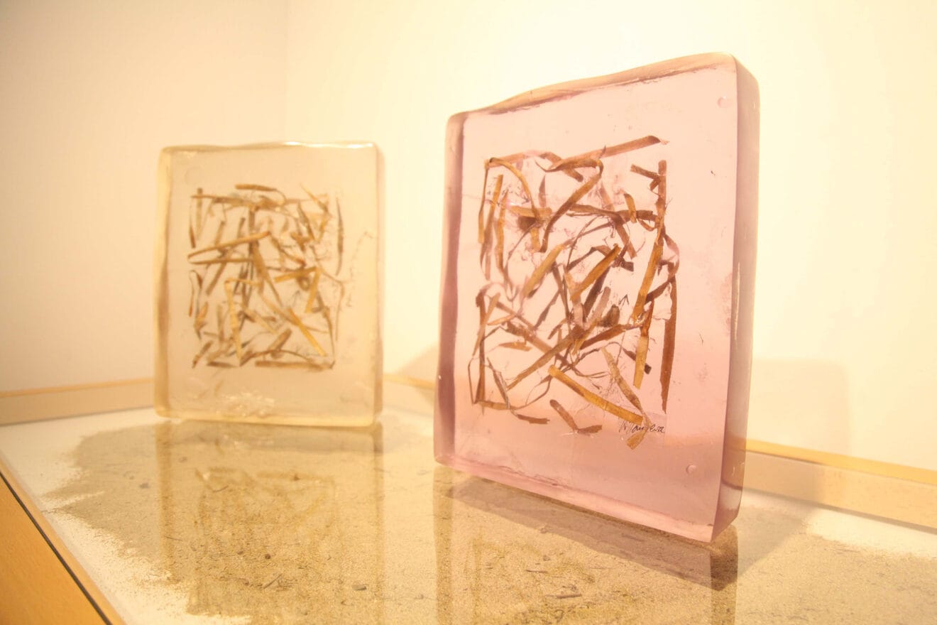 Exposición colectiva ‘L’art de la posidònia’ 19