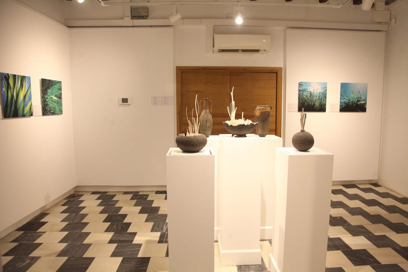 Exposición colectiva ‘L’art de la posidònia’ 20