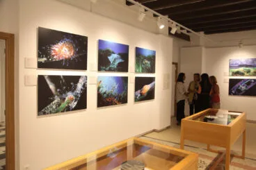 Exposición colectiva ‘L’art de la posidònia’ 24