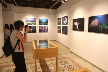 Exposición colectiva ‘L’art de la posidònia’ 28