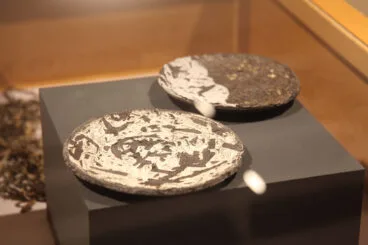 Exposición colectiva ‘L’art de la posidònia’ 30