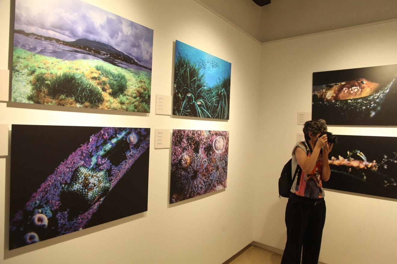 Exposición colectiva ‘L’art de la posidònia’ 31