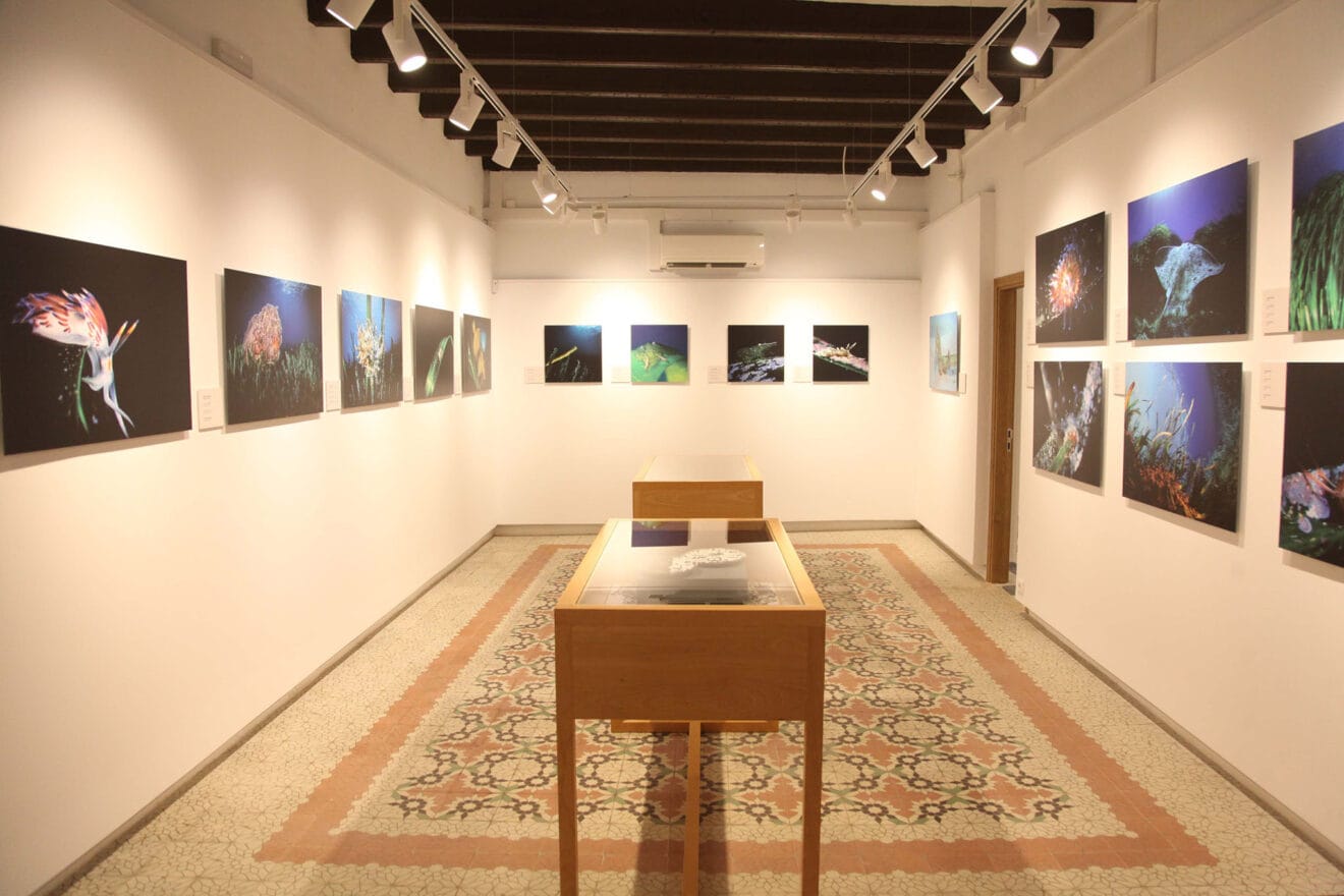 Exposición colectiva ‘L’art de la posidònia’ 33