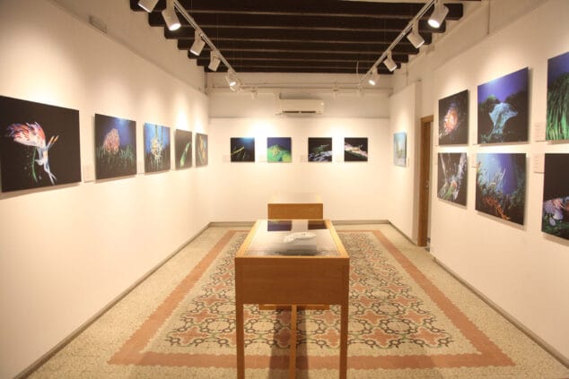 exposicion colectiva lart de la posidonia 33