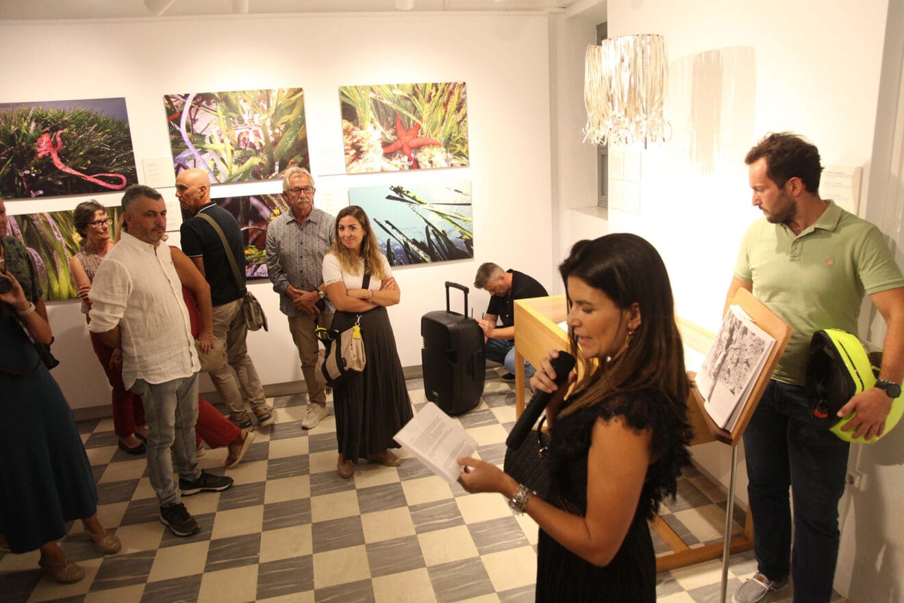 Exposición colectiva ‘L’art de la posidònia’ 70