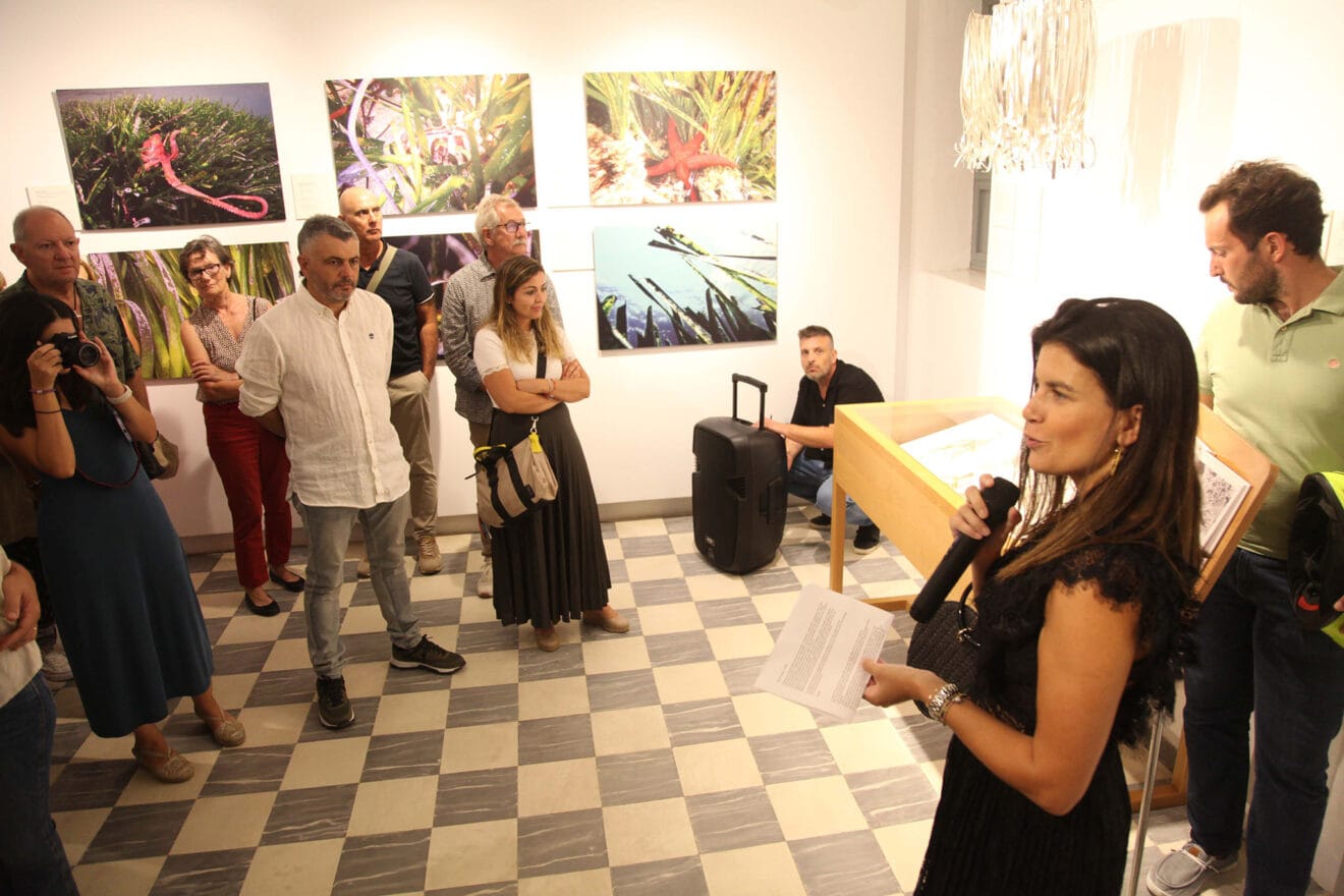Exposición colectiva ‘L’art de la posidònia’ 71