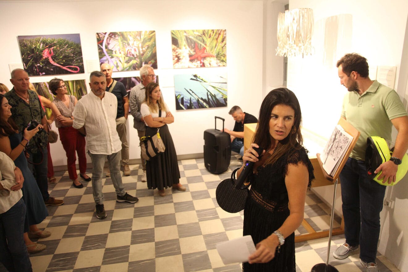 Exposición colectiva ‘L’art de la posidònia’ 72