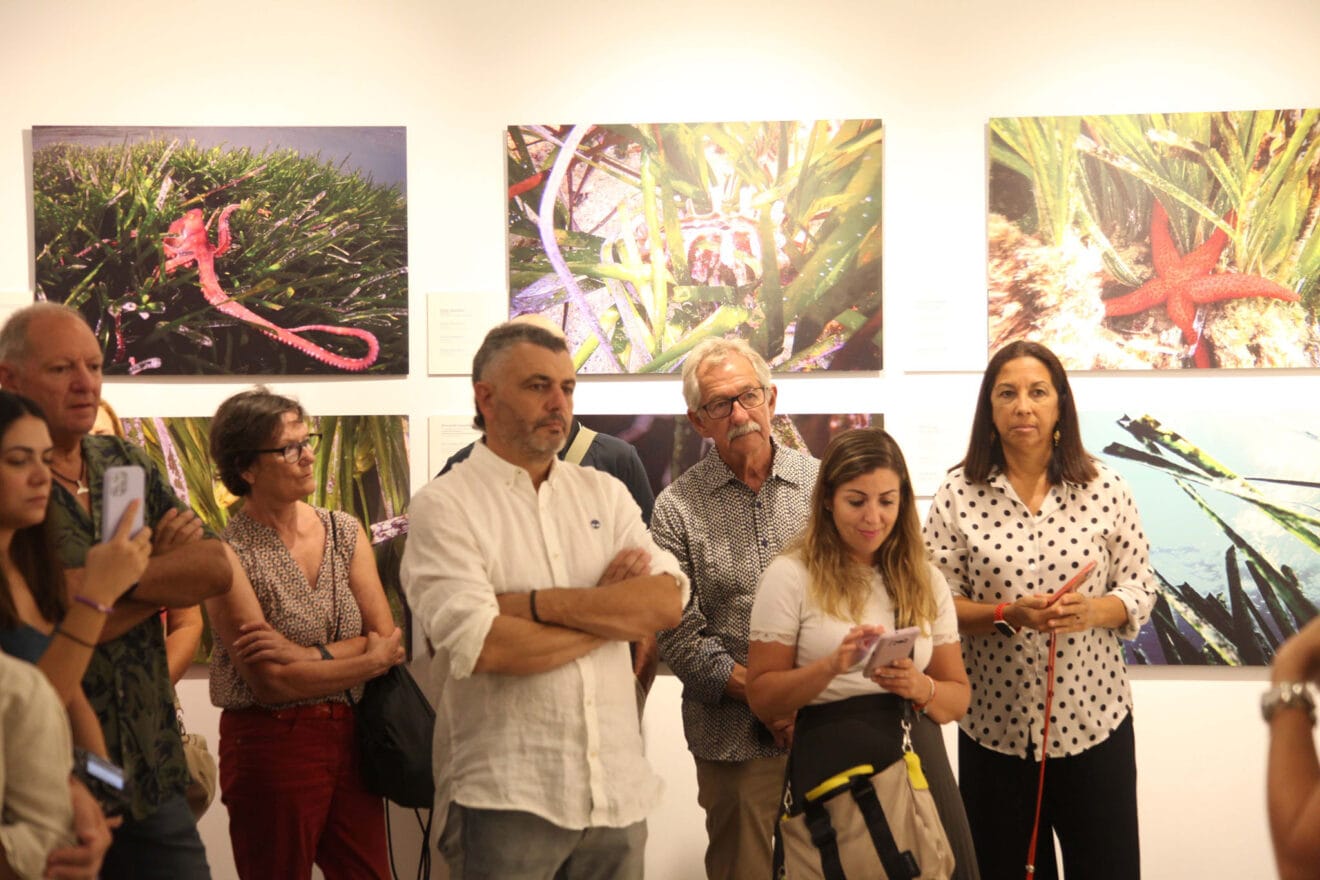 Exposición colectiva ‘L’art de la posidònia’ 75