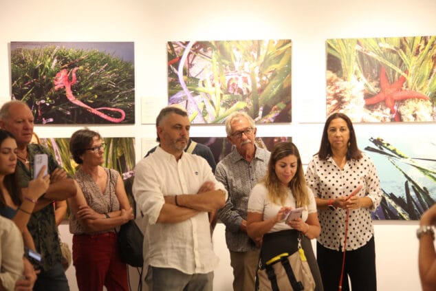 exposicion colectiva lart de la posidonia 75