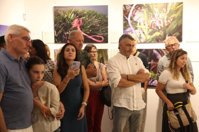 exposicion colectiva lart de la posidonia 76