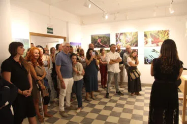 Exposición colectiva ‘L’art de la posidònia’ 77
