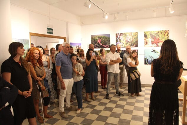 exposicion colectiva lart de la posidonia 77
