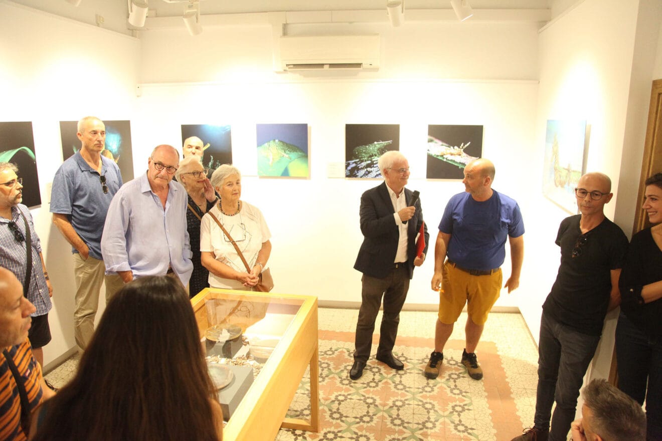 Exposición colectiva ‘L’art de la posidònia’ 91