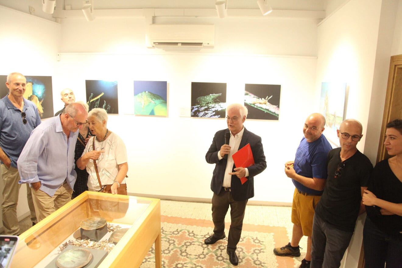 Exposición colectiva ‘L’art de la posidònia’ 93