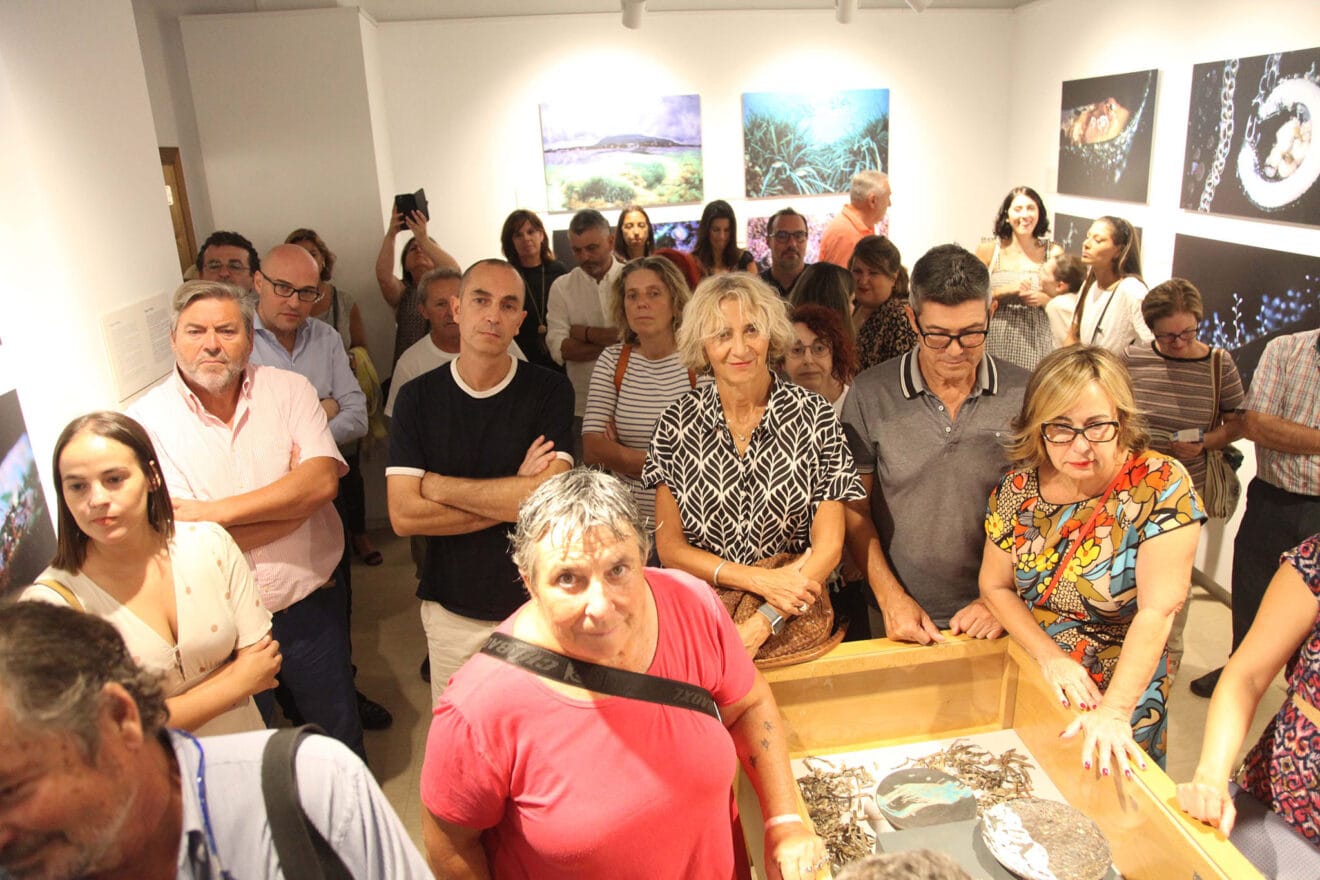 Exposición colectiva ‘L’art de la posidònia’ 99