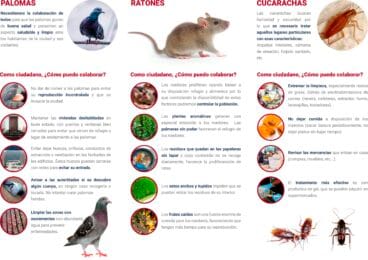 Recomendaciones de control de plagas en edificios