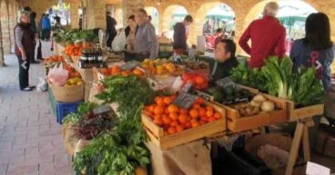 denia acoge un foro de gastronomia sostenible foto ayto denia