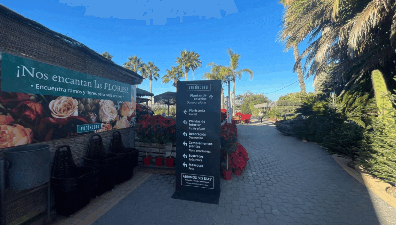 Experiencias únicas con plantas, decoración y eventos