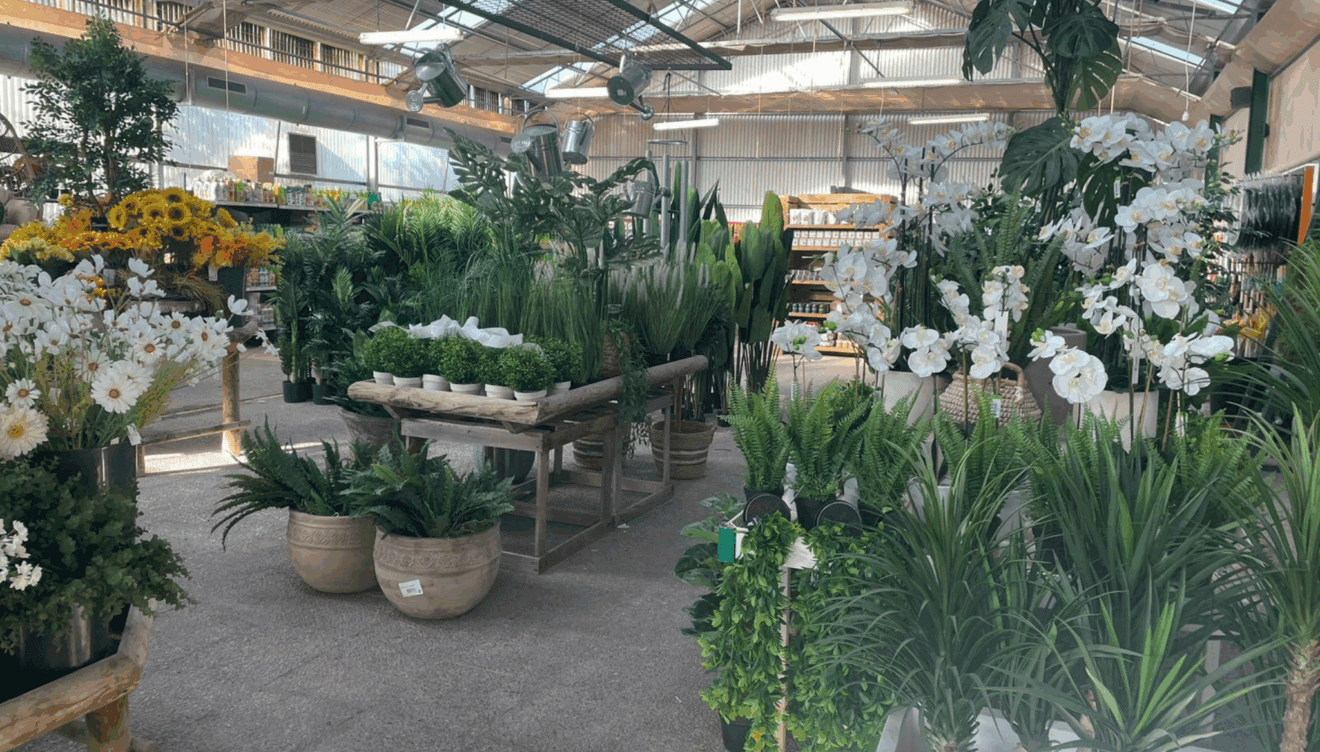 Un destino único para amantes de la naturaleza y la decoración