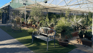 Un paraíso verde con naturaleza y decoración