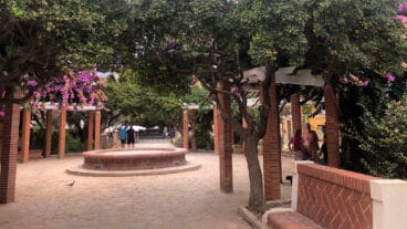vecinos paseando por la glorieta