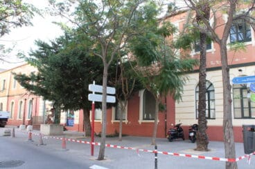Retirada de arbolado del Museu del Joguet