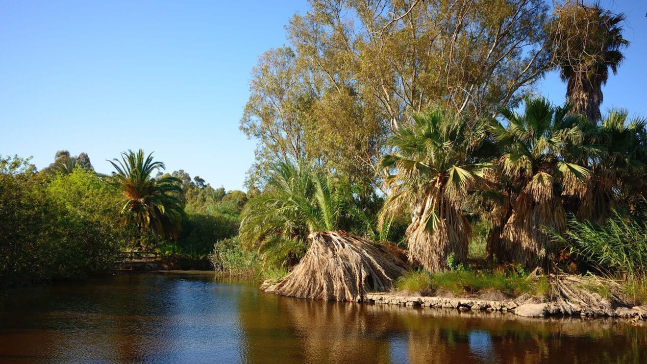 Terreno del Safari Park del Verger