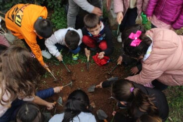 Plantación en el Dia de l’Arbre en el colegio Llebeig