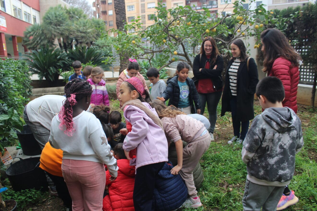 Alumnos del colegio Llebeig plantando un naranjo por el Día del Árbol