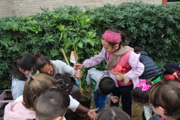 Celebración del Día del Árbol en el colegio Llebeig de Dénia