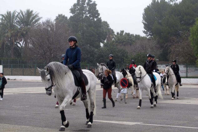 celebracion sant antoni 2024 en denia 03
