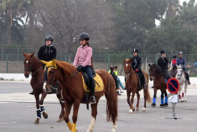 Decenas de animales son bendecidos en Sant Antoni 22 celebracion sant antoni 2024 en denia 04