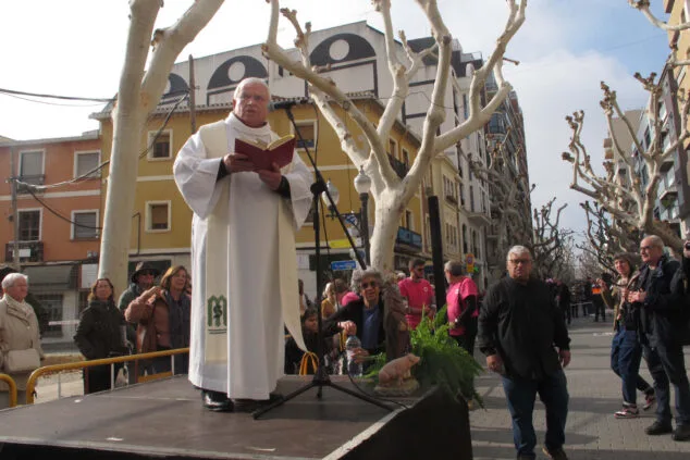 Decenas de animales son bendecidos en Sant Antoni 19 celebracion sant antoni 2024 en denia 07