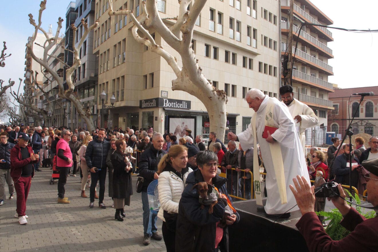 Celebración Sant Antoni 2024 en Dénia 11