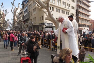 Celebración Sant Antoni 2024 en Dénia 12
