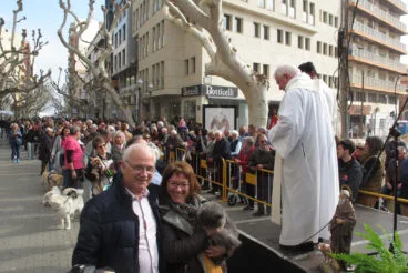 Celebración Sant Antoni 2024 en Dénia 13