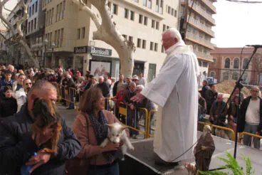Celebración Sant Antoni 2024 en Dénia 17