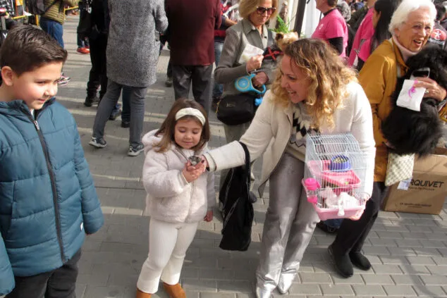 Decenas de animales son bendecidos en Sant Antoni 8 celebracion sant antoni 2024 en denia 19